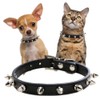 Spiked Dog Collar Small Spike Cat Collar Pink Puppy Kitten
