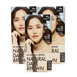 Kkeoteuldeun Namja 꽃을든남자 뉴 씨에스 CS먹물 칼라 크림 N4 자연흑갈색 x 3개 Flower Man New CS Hair Color Cream N4 Natural Black Brown x 3