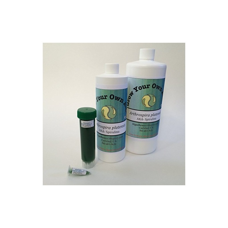 Algae Research Supply Algae Culture Thalassiosira pseudonana, Perfect for School