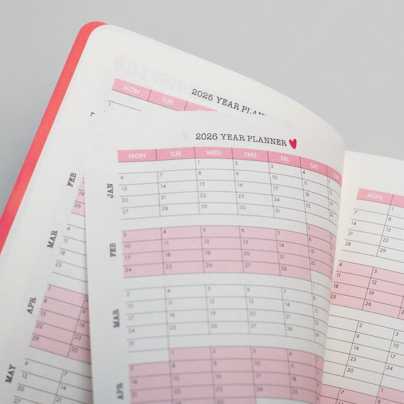 Matilda Moo 2025 diary | A6 diary | day on