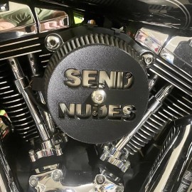 Lane Split Supply Co Harley Davidson Air Filter Cover Air Cleaner Cover 5.5” Diameter