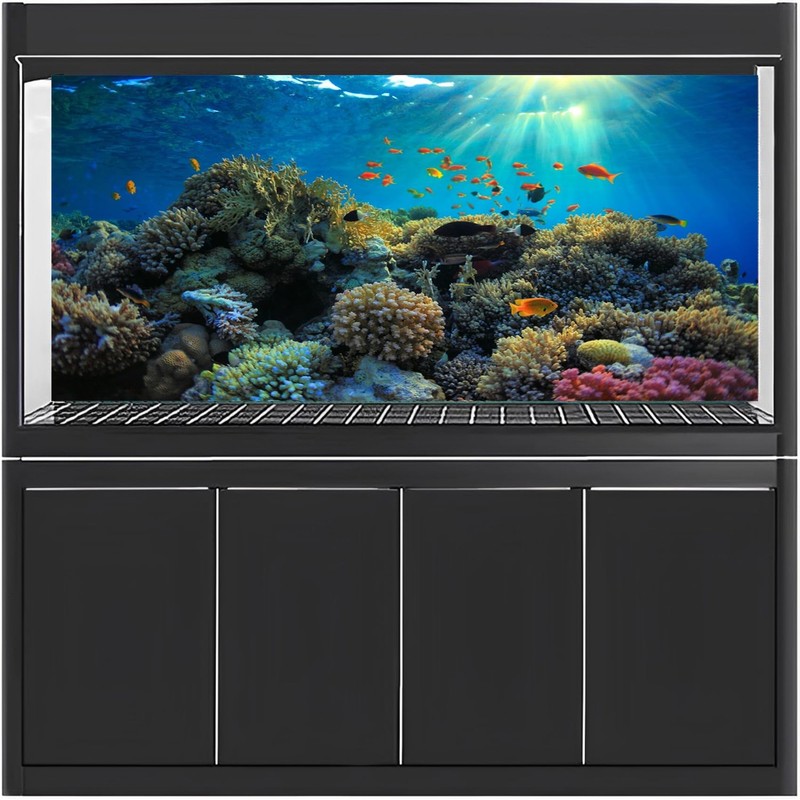 MIRRORANG 91x41cm Durable Vinyl Aquarium Background Coral Tropical Fish Underwater