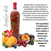 Ningxia Red 4 Botellas