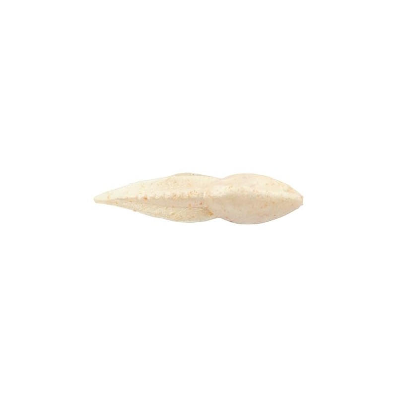 Berkley Gulp! Alive! Stonefly Fishing Soft Bait