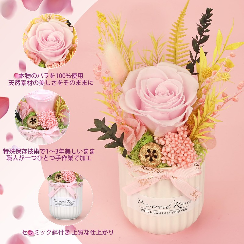 Bloom's Diary Mini Preserved Rose Arrangement Ceramic Mini Vase, Real