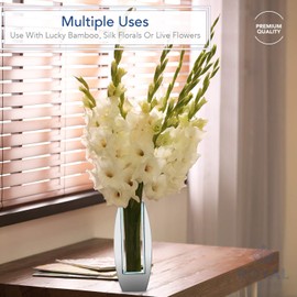 Royal Imports Flower Mirror Glass Vase - Modern Oval, 5"x12" - Decorative Modern Floral Centerpiece Accent for Home Decor Living Room Bathroom, Kitchen, Fireplace, Shelf, Table, Entryway, Wedding