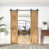 WINSOON 6FT Barn Door Hardware Kit: Double Sliding Door Hardware