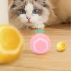 Smart Interactive Cat Ball Toy Automated Rolling 360 Degree Rotating