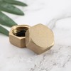 eMagTech 4 Pieces 1/2 Inch Brass Hex Blanking Plugs with