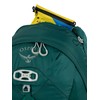 Osprey Tempest 20L Women's Hiking Backpack with Hipbelt, Jasper Green,