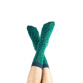 DOIY CACTUS SOCKS (Astro)