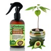 Gardenera Professional Avocado Spray Fertilizer Mist for Home Gardening |