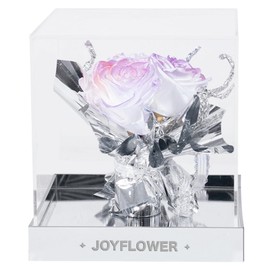 JoyFlower Preserved Flowers Real Pinkish Purple Rose Gift, Romantic Galaxy Aurora Roses, Forever Eternal Flower Gifts on Valentine's Mother's Day Birthday Anniversary for Girlfriend Wife Mom Grandma