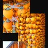 Persimmon Hanging Clamp，Persimmon Fruit Rack, Persimmon Special Hanging Ladder, Convenient