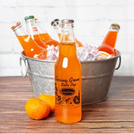 Ultimate Craft Soda Beverage Samplers - Mix Variety Case - Gourmet Sodas from All Around the Country - Choose Your Flavor - 12oz (Orange Soda - 12 Pack)