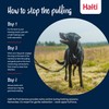 HALTI No Pull Harness - To Stop Your Dog Pulling