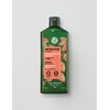 Yves Rocher [이브로쉐] 호호바 리페어 샴푸 300ml [Yves Rocher] Jojoba Repair Shampoo 300ml