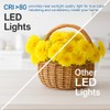 YGS-Tech 2 Inch LED Recessed Lighting, Dimmable Downlight 3W(35W Halogen