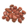 Zentron Crystal Collection: 1/2 Pound Tumbled Red Jasper