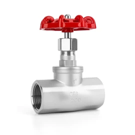 1" NPT Stainless Steel B-Type Globe Valve, Accurately Adjust Flow Rate Heavy Duty Threaded Manual Rotary Sluice Shut-off Valve for Water, Oil, Gas, Industrial Piping, and HVAC Systems (1", DN25)