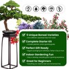 Bonsai Tree Kit for Beginners - 5 Unique Japanese Bonsai