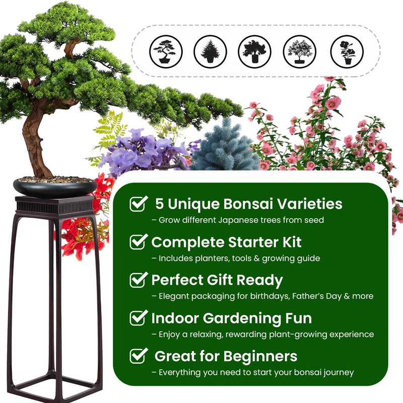 Bonsai Tree Kit for Beginners - 5 Unique Japanese Bonsai