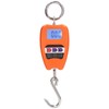 Portable Digital Hanging Scale, Precise 200 kg Load Capacity, Multifunctional