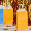 Paper Party Gift Bags with Handles (9 x 5.3 in,