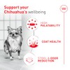 ROYAL CANIN, Adult - Chihuahua, Croquetas para Perro, 1.1kg