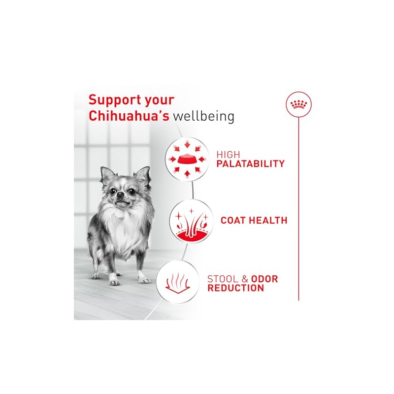 ROYAL CANIN, Adult - Chihuahua, Croquetas para Perro, 1.1kg