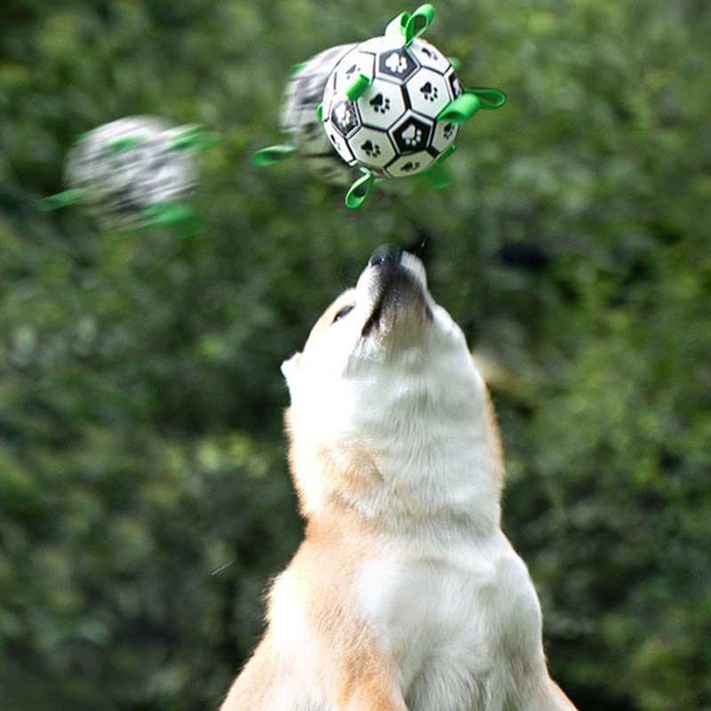 Dog Soccer Ball Toy Bite Resistant Inflatable Interactive Molar Pet