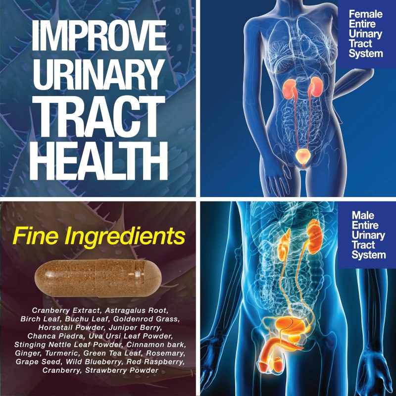 Saint Mingiano Kidney Support Cleanse Detox & Repair -120 Capsules