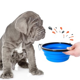 PETSATION Foldable Dog Bowl for On the Go [The Original] Dog Bowl Ideal for Everyday Use - 350 ml Water Bowl - Drinking Bowl for Dog - Travel Bowl, Feeding Bowl (350 ml, Blue)