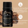Handcraft Blends Frankincense Essential Oil - 0.33 Fl Oz -