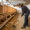 PUPTECK Metal Chicken Coop Scooper, Adjustable Removable Long Handle Stainless