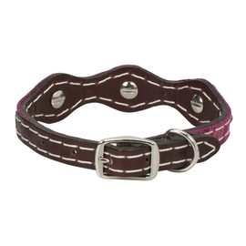 Weaver Leather Weaver Pet Vintage Paisley Collar Pink, 5/8" x 11"