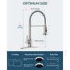 FORIOUS Kitchen Faucet with Pull Down Sprayer, Brushed Nickel Stainless