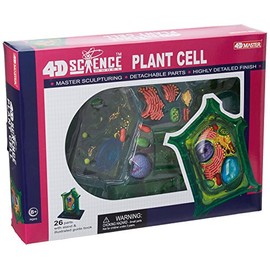 Famemaster 4D-Science Plant Cell Anatomy Model