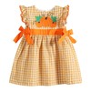 Lil cactus Orange Gingham Ruffle Pumpkin Bow Dress, 18-24 Months