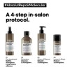 Kit Lorealabsolut Repair Molecularshampooserúmmascarilla