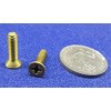 Brass Flat Head Phillips Machine Screws, FT, 10-24 Thread Size