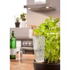 Scheurich Copa XL Plastic Water Reservoir, Colour: Copa XL, Transparent/Clear,