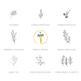 Daeng Gi Meo Ri- Ki Gold Premium Treatment