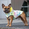GF Pet Reversible Raincoat - Neon Yellow with Tie Dye