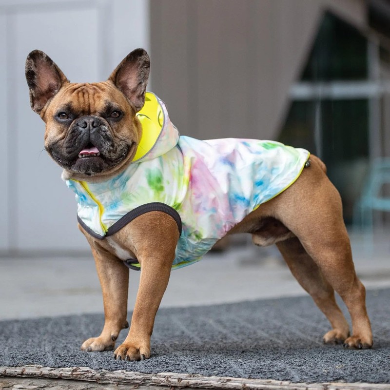 GF Pet Reversible Raincoat - Neon Yellow with Tie Dye