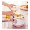 Bearware Electric Multi-Cooker Intelligent Ceramic Stew Pot 1L
