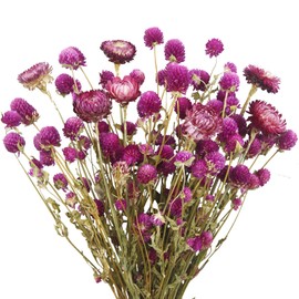 ACRYCS Dried Flowers Bouquet Dried Daisy Flowers Purple Natural Dried Flower Globe Amaranth Daisies Flowers Chrysanthemums Floral Arrangements for Wedding Party Table Centerpiece Decor Farmhouse DIY