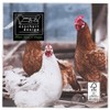 Esschert Design TP179 - Servilletas de Pollo, diseño de gallinas