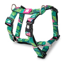 Max & Molly Dog Harness in H-shape, Ultra Comfortable Neoprene Harness for Medium Dogs, Tropical, M, Padded, Safe and Ultralight – Comfort for Your Faithful Companion