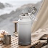 Insulated Water Bottle with Straw & Handle – 316 Stainless